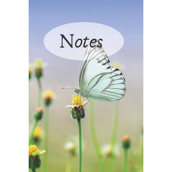 Notes (Paperback)