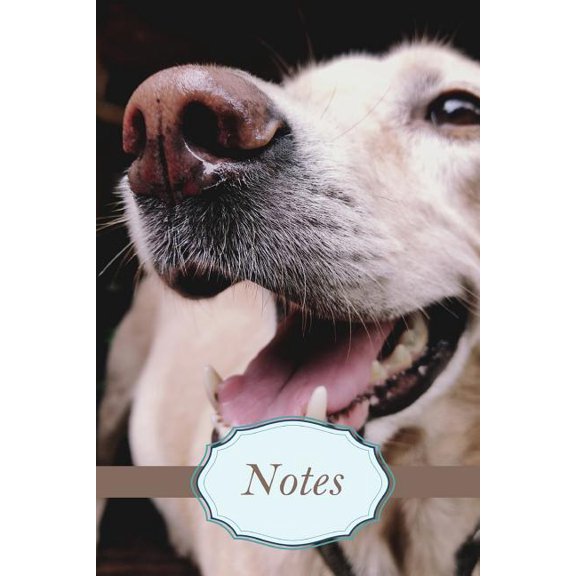Notes (Paperback)