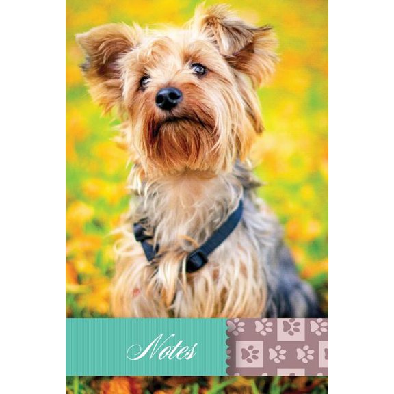 Notes (Paperback)