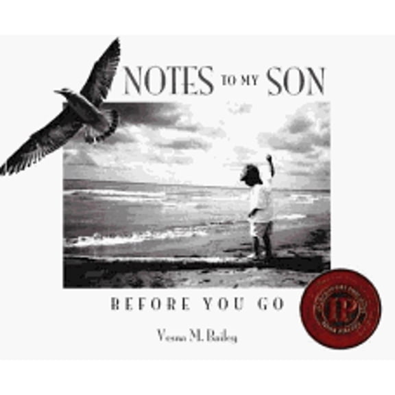 Pre-Owned Notes To My Son Before You Go (Hardcover) 0978440803 9780978440800