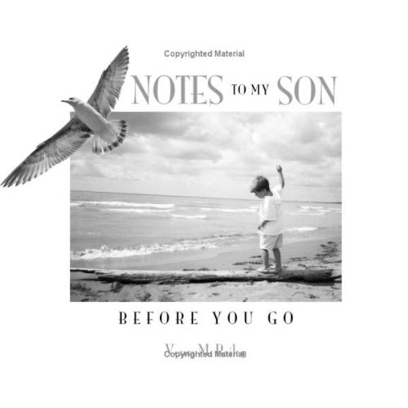 Pre-Owned Notes To My Son Before You Go (Hardcover) 0978440803 9780978440800