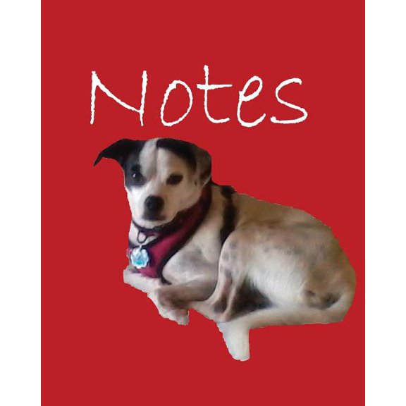 Notes Volume 4