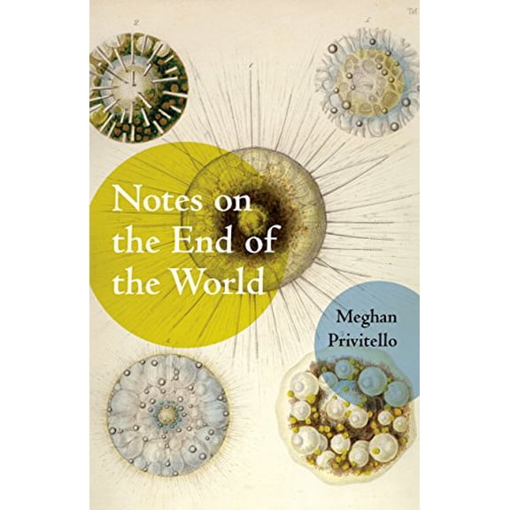 Pre-Owned Notes on the End of the World Paperback