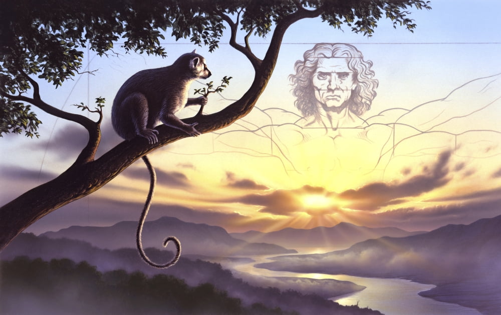 Notharctus sits on a tree branch with Vitruvian man as a backdrop in the sky Canvas Art - Jerry LoFaroStocktrek Images (18 x 12)