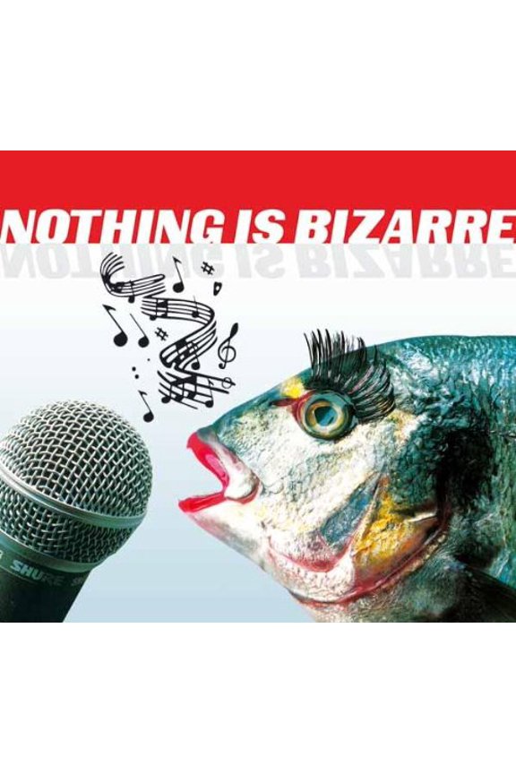Various Artists Nothing Is Bizarre (CD) Album