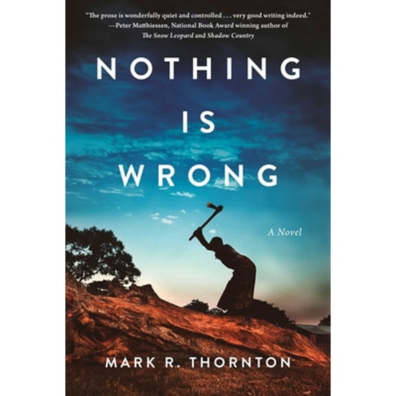 Pre-Owned Nothing Is Wrong (Hardcover) by Mark R Thornton