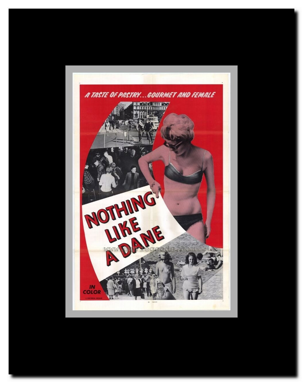 Nothing Like a Dane Framed Movie Poster