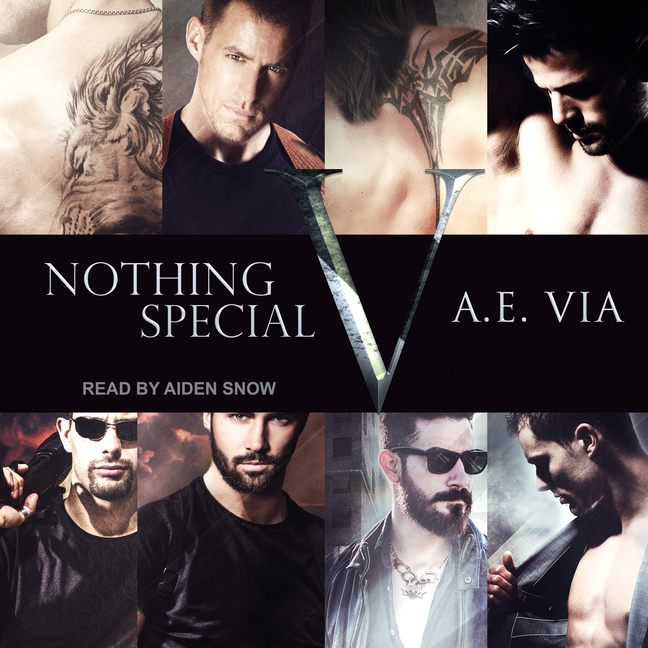 Nothing Special V (Audiobook)