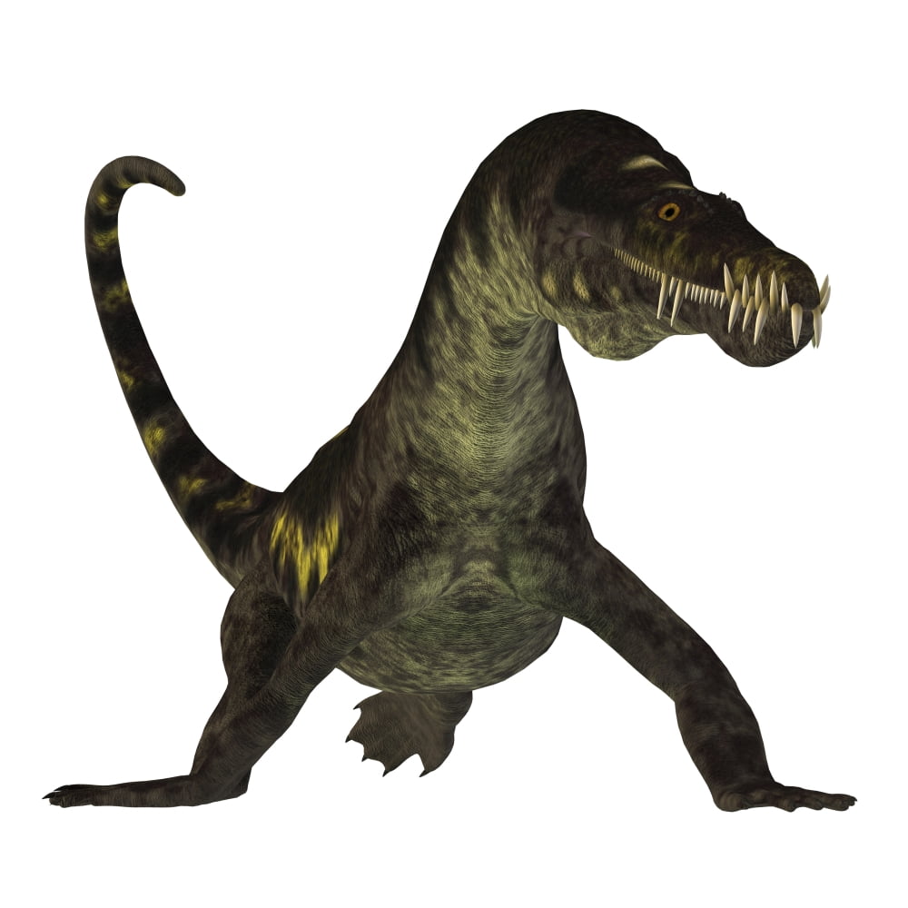 Nothosaurus reptile front view Canvas Art - Corey FordStocktrek Images (28 x 28)