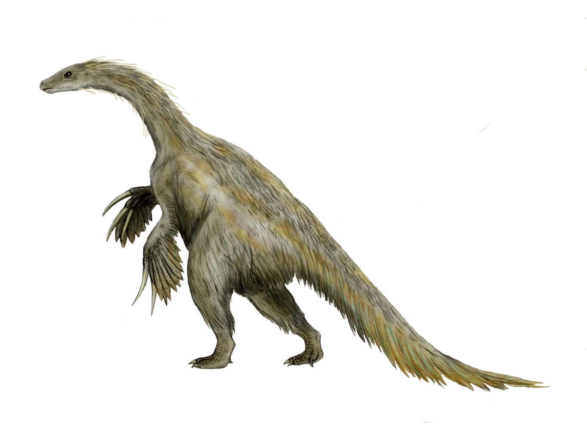 Nothronychus dinosaur Canvas Art - Nobumichi TamuraStocktrek Images (17 x 13)