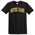 thumbnail image 1 of Notre Dame Cathedral Travel Inspired Graphic T-Shirt, 1 of 6