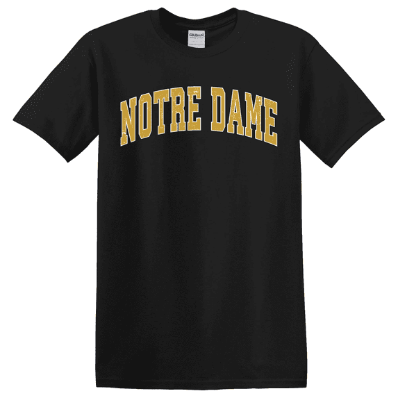 Notre Dame Cathedral Travel Inspired Graphic T-Shirt