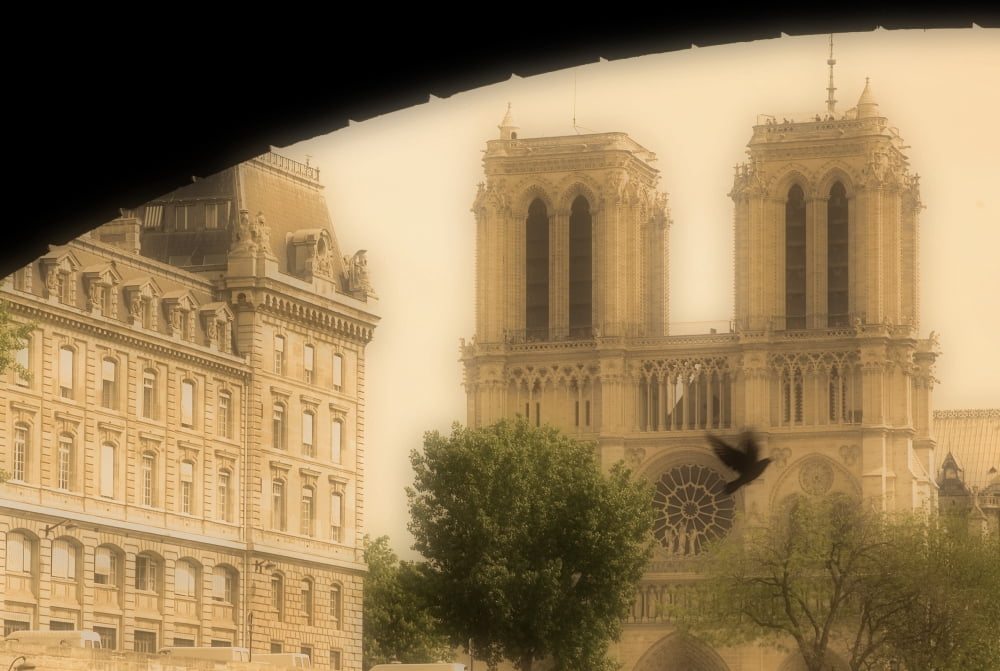 Notre Dame Cathedral Viewed From The Seine River Paris France Canvas Art - John Sylvester Design Pics (17 x 12)