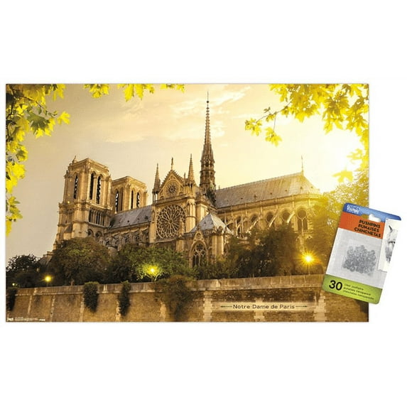Notre Dame Wall Poster with Push Pins, 14.725" x 22.375"