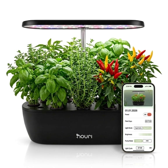 Nouri Hydroponics Growing System, 12 pod APP Smart Indoor Herb Garden Kit with LED Grow Lights, Basil Seeds Included