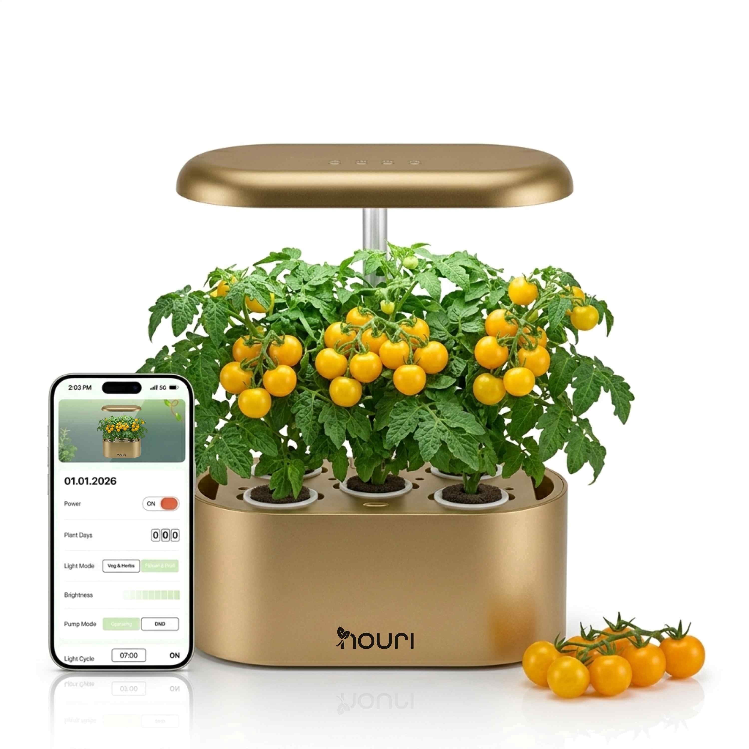 Nouri Hydroponics Growing System, 5 pod APP Smart Indoor Herb Garden Kit with LED Grow Lights, Hydroponic Herb Garden with Basil Seeds Included
