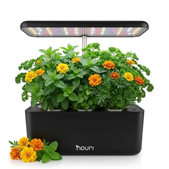 Nouri Hydroponics Growing System, 7 pod Smart Indoor Herb Garden Kit with LED Grow Lights, Hydroponic Herb Garden Indoor with Basil Seeds Included
