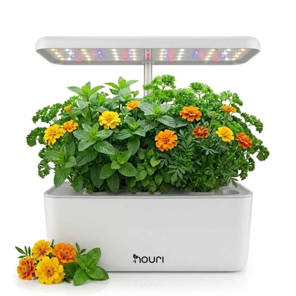 Nouri Hydroponics Growing System, 7 pod Smart Indoor Herb Garden Kit with LED Grow Lights, Hydroponic Herb Garden Indoor with Basil Seeds Included