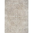 thumbnail image 1 of Nourison Astra Machine Washable 5'3" x 7' Beige Vintage Indoor Flatweave Rug, 1 of 12