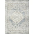 thumbnail image 1 of Nourison Astra Machine Washable Vintage Persian Indoor Rug Light Blue 5'3" x 7', 1 of 8