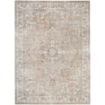 thumbnail image 1 of Nourison Astra Machine Washable 6'7" x 9' Beige Vintage Indoor Flatweave Rug, 1 of 15
