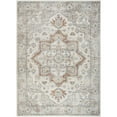 thumbnail image 1 of Nourison Astra Machine Washable Persian Grey/Multi 6'7" x 9' Area Rug (7x9), 1 of 10