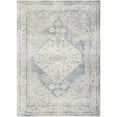 thumbnail image 1 of Nourison Astra Machine Washable Persian Light Blue 6'7" x 9' Area Rug (7x9), 1 of 10