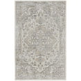 thumbnail image 1 of Nourison Astra Machine Washable Persian Silver Grey 4' x 6' Area Rug (4x6), 1 of 8