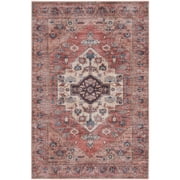 Nourison Brilliance Machine Washable 4 x 6 Rust Multicolor Vintage Indoor Non-Slip Flatweave Rug