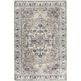 thumbnail image 1 of Nourison Brilliance Machine Washable Persian Beige Multicolor 4' x 6' Area Rug (4x6), 1 of 10