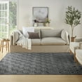 thumbnail image 1 of Nourison Casual 7'10" x 9'10" Grey Modern Indoor Rug, 1 of 8