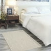 Size: 3' x 5', Actual Color: Ivory Silver