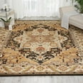 thumbnail image 1 of Nourison Delano Traditional Black 6'7" x 9'6" Area Rug, (7x10), 1 of 6