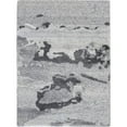 thumbnail image 1 of Nourison Divine Smoke Area Rug, 1 of 9