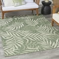 thumbnail image 1 of Nourison Garden Oasis Indoor/Outdoor Green Ivory 4' x 6' Area Rug (4x6), 1 of 9