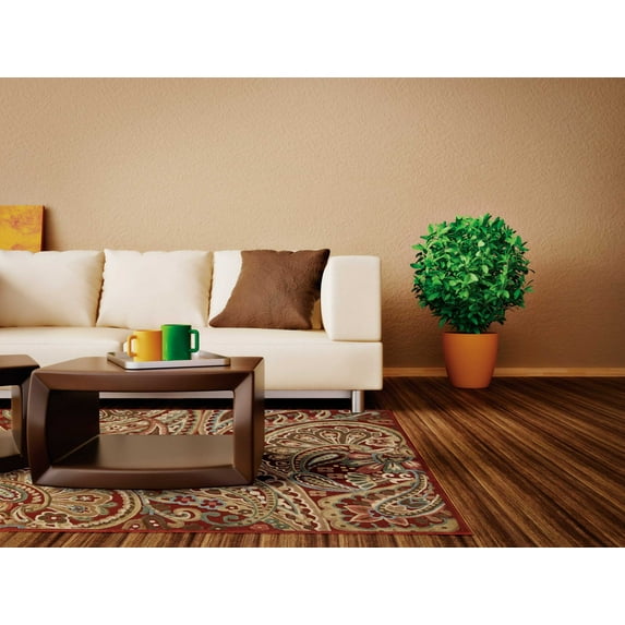 Nourison Graphic Illusions 3'6" x 5'6" Red Paisley Indoor Rug