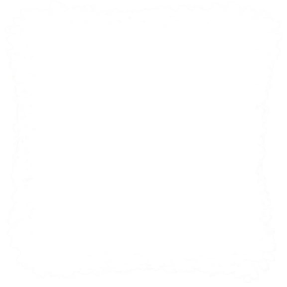 Nourison Life Styles Rose Decorative Throw Pillow , 20" x 20"