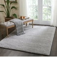 thumbnail image 1 of Nourison Malibu Shag Solid Shag Silver Grey 5'3" x 7'3" Area Rug, (5' x 7'), 1 of 8