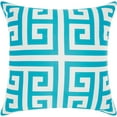 thumbnail image 1 of Nourison Outdoor Pillows Turquoise Decorative Throw Pillow , 20"X20", 1 of 2