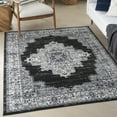 thumbnail image 1 of Nourison Passion Black Ivory 5'3" x 7'3" Area Rug, Traditional, Boho, Bed Room, Living Room, Dining Room, Kitchen, , Easy Cleaning, Non Shedding (5' x 7'), 1 of 8