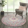 thumbnail image 1 of Nourison Passion Grey/Multicolor 4' x Round Area Rug, Traditional, Persian, Bed Room, Living Room, Dining Room, Kitchen, , Easy Cleaning, Non Shedding (4' Round), 1 of 8