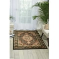 thumbnail image 1 of Nourison Persian Arts Black Area Rug BD03 3'6" x 5'6", 1 of 5