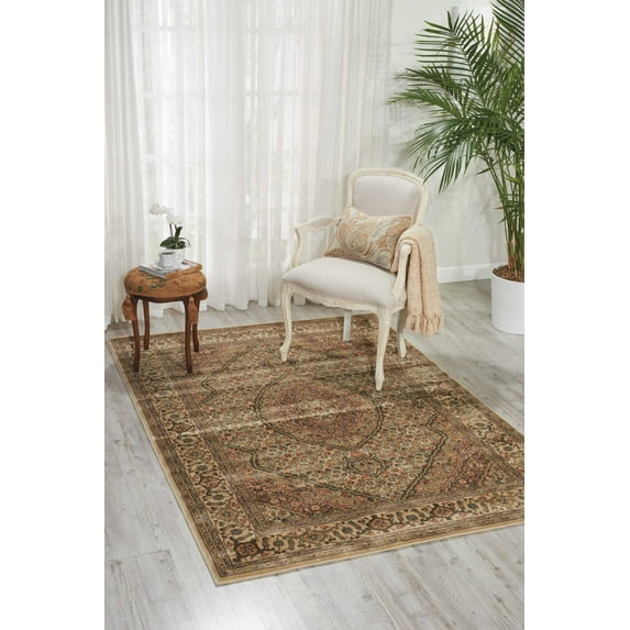 Nourison Persian Arts Oriental Bordered Ivory Area Rug