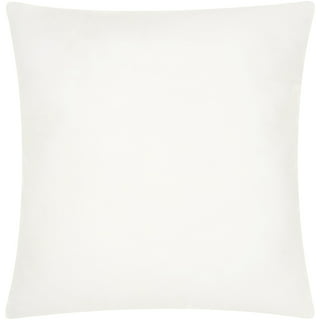 https://i5.walmartimages.com/seo/Nourison-Poly-Down-Inserts-Polyester-White-24-x-24-Throw-Pillow-Inserts_6a357860-2823-45bd-8286-ea347f12188c.f641b17faa4a536c8b646e380b60dd94.jpeg?odnHeight=320&odnWidth=320&odnBg=FFFFFF