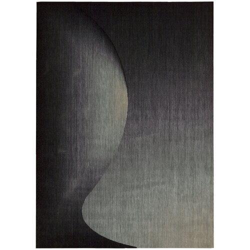 Nourison Radiant Arts Onyx Area Rug