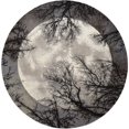 thumbnail image 1 of Nourison Twilight 96" Round Moon Wool Indoor Rug in Charcoal Finish, 1 of 5
