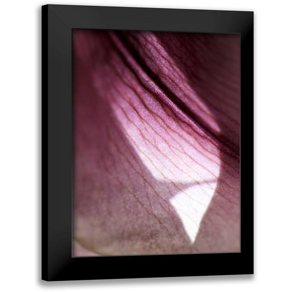 Nourock, Jonathan 12x14 Black Modern Framed Museum Art Print Titled - Lily Dusk I