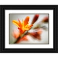 thumbnail image 1 of Nourock, Jonathan 14x12 Black Ornate Wood Framed with Double Matting Museum Art Print Titled - Open Sunshine I, 1 of 4