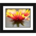 thumbnail image 1 of Nourock, Jonathan 24x19 Black Ornate Wood Framed with Double Matting Museum Art Print Titled - Gaillardia II, 1 of 4