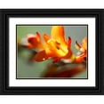 thumbnail image 1 of Nourock, Jonathan 24x19 Black Ornate Wood Framed with Double Matting Museum Art Print Titled - Open Sunshine III, 1 of 4